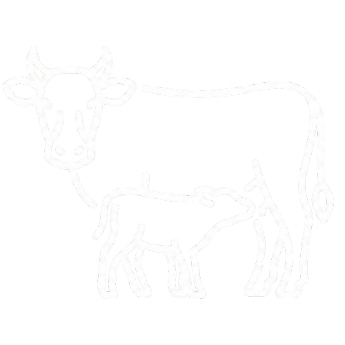 Low milk availability